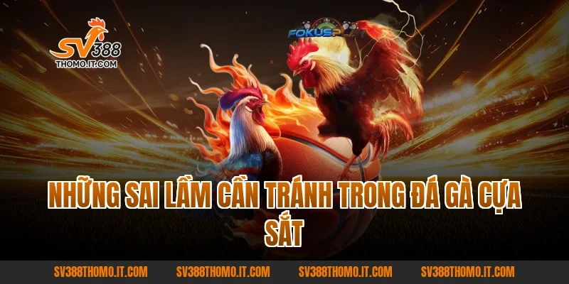Những Sai Lầm Cần Tránh Trong Đá Gà Cựa Sắt